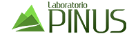 laboratório pinus